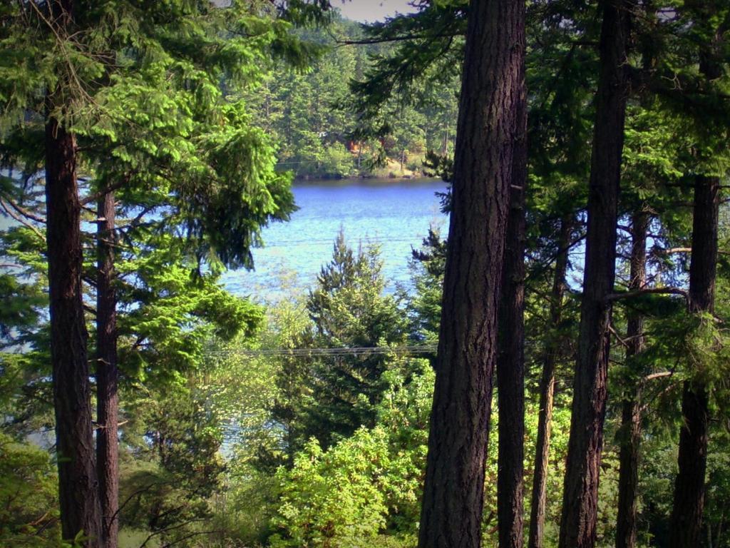 Inn To The Woods Friday Harbor Ngoại thất bức ảnh
